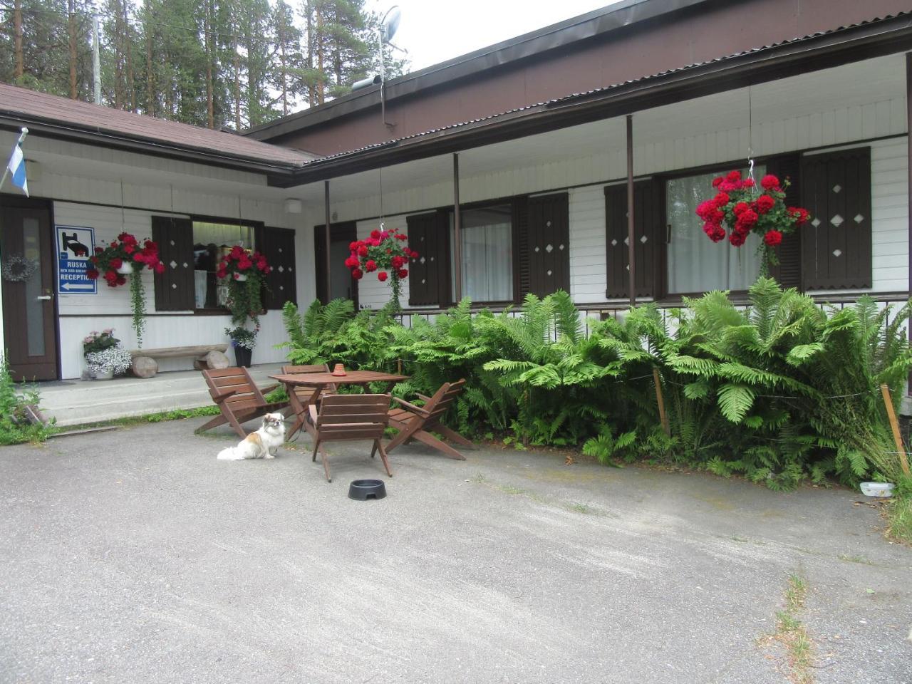 Ruska Bed & Breakfast Taivalkoski Екстериор снимка